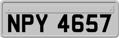 NPY4657