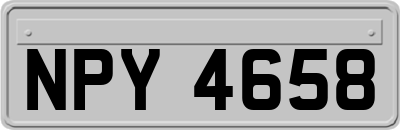 NPY4658