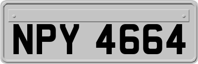 NPY4664