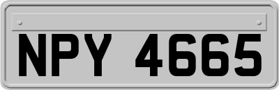 NPY4665