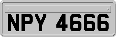NPY4666