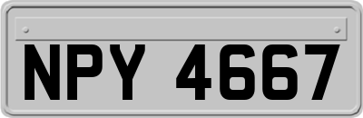 NPY4667
