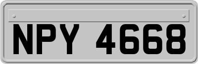 NPY4668
