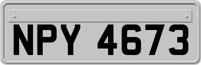 NPY4673