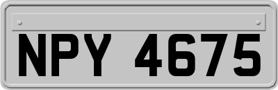 NPY4675