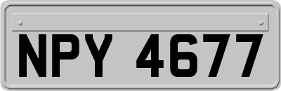 NPY4677