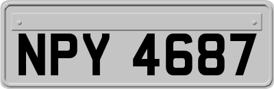 NPY4687