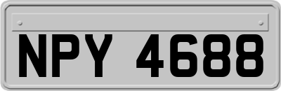 NPY4688