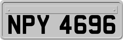 NPY4696
