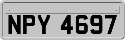 NPY4697
