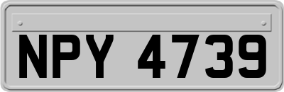 NPY4739