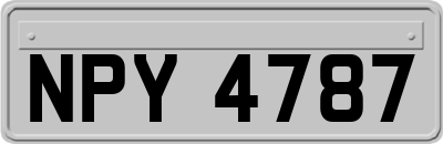 NPY4787
