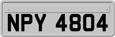 NPY4804