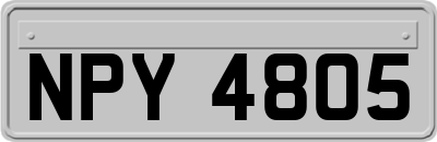 NPY4805