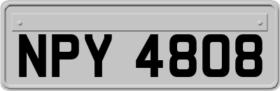 NPY4808
