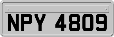 NPY4809