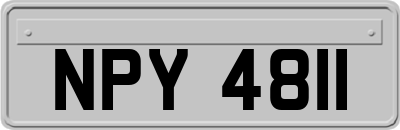 NPY4811