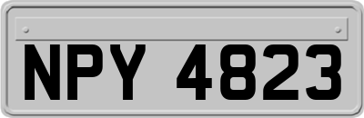 NPY4823