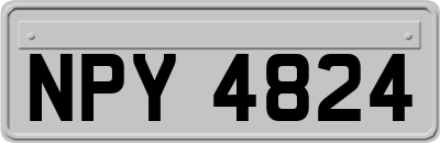 NPY4824