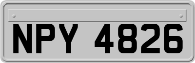 NPY4826