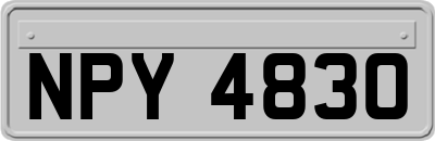 NPY4830