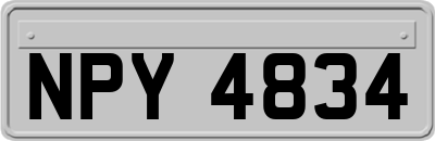 NPY4834