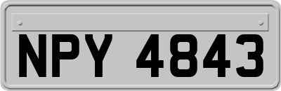 NPY4843