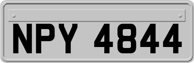 NPY4844