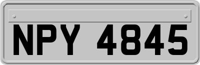 NPY4845