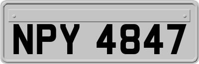 NPY4847