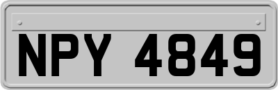 NPY4849