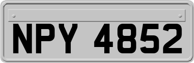 NPY4852