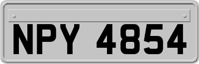 NPY4854