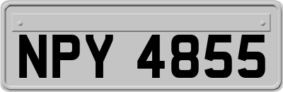 NPY4855