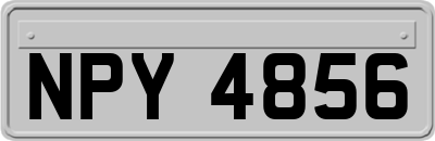 NPY4856