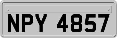 NPY4857
