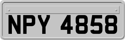 NPY4858
