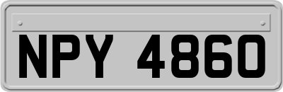 NPY4860