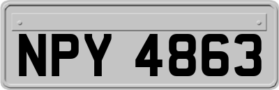 NPY4863