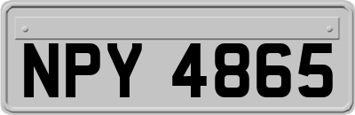 NPY4865