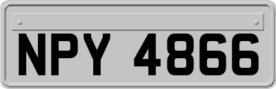 NPY4866