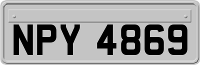NPY4869