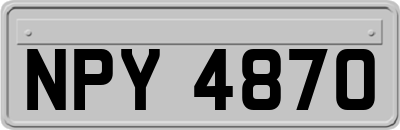 NPY4870
