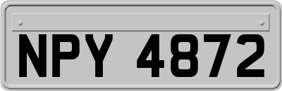 NPY4872