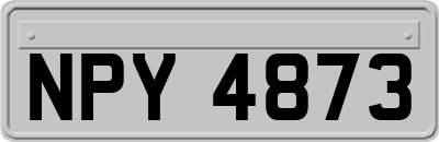 NPY4873
