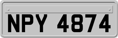 NPY4874