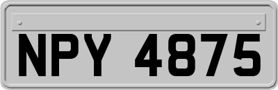 NPY4875