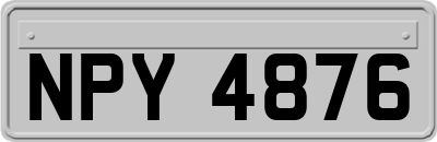 NPY4876