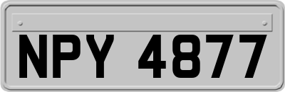 NPY4877
