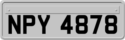 NPY4878